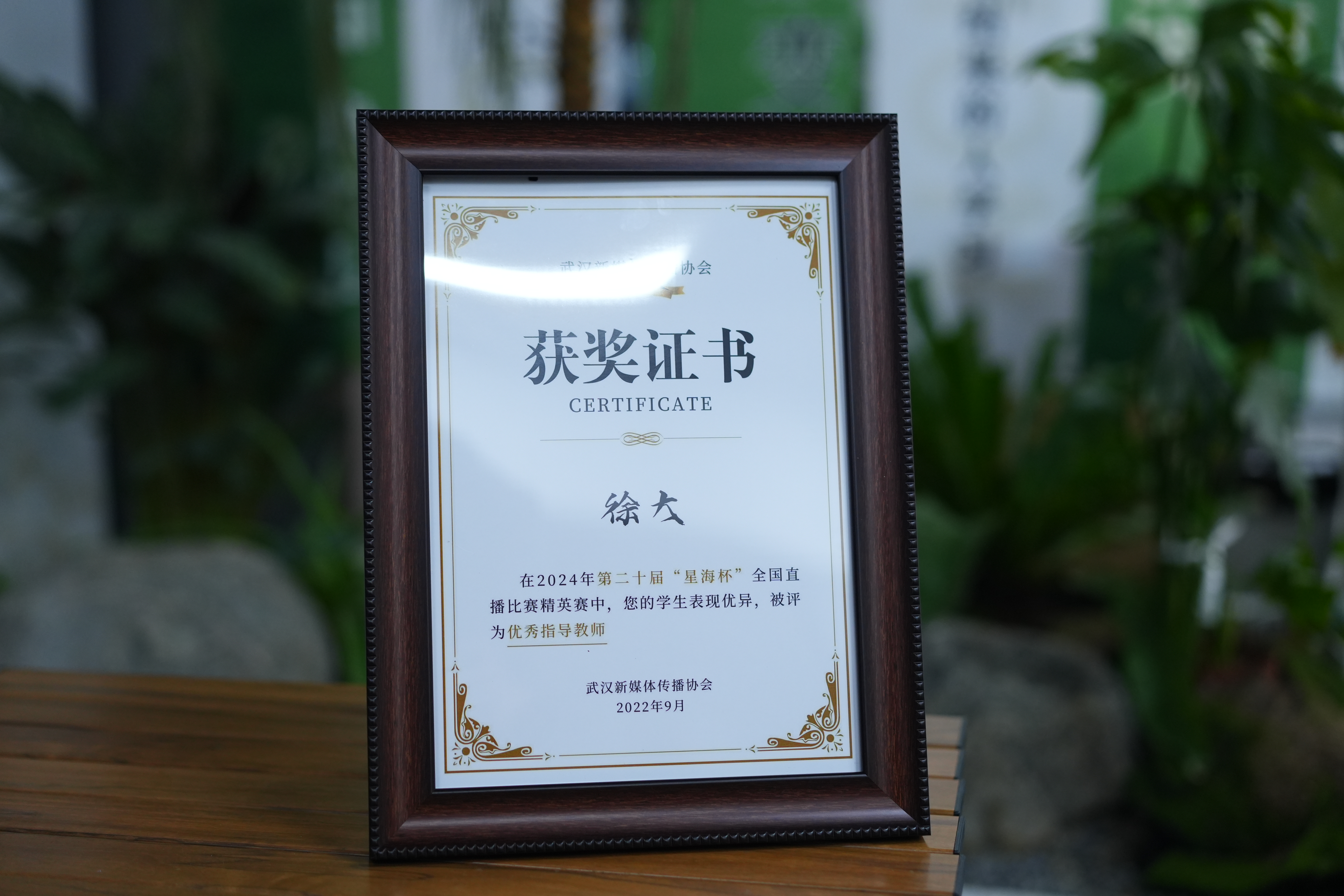 媒体报道
