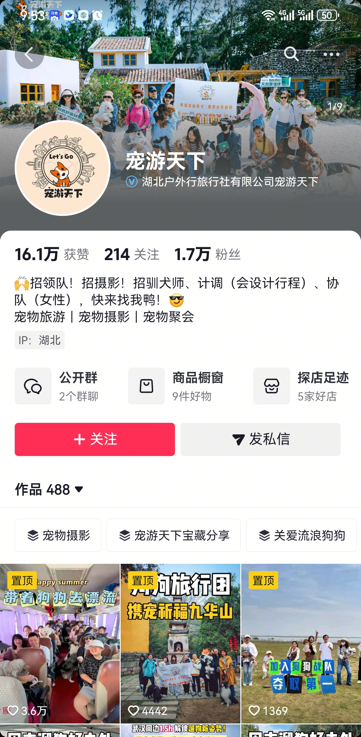 宠游天下